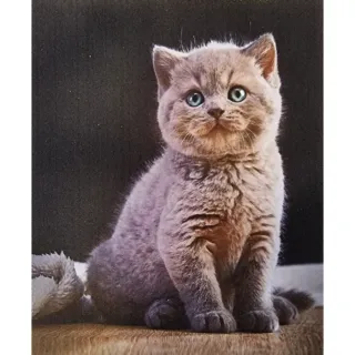 Mikroszálas törlőkendő