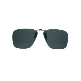 Carrera Clip-on