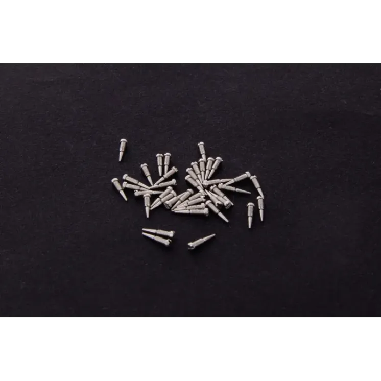 Glasses screw
