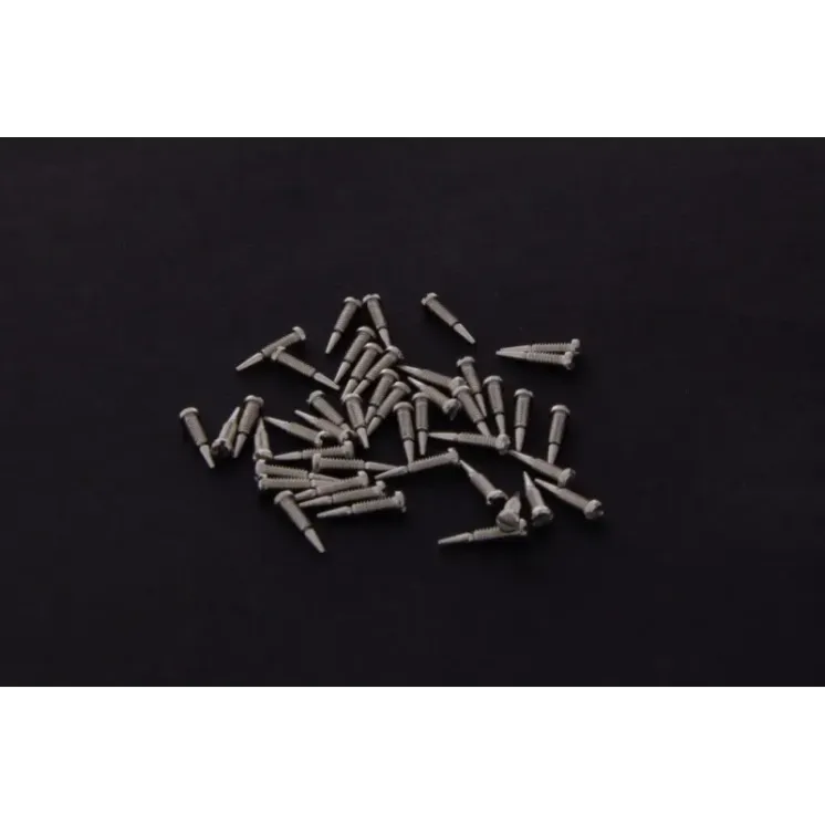 Glasses screw