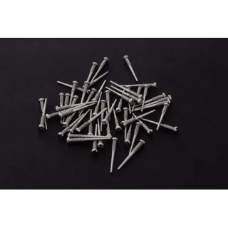 Glasses screw