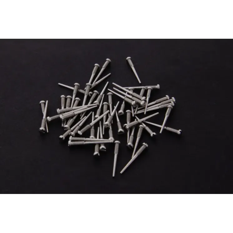 Glasses screw