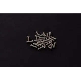 Glasses screw