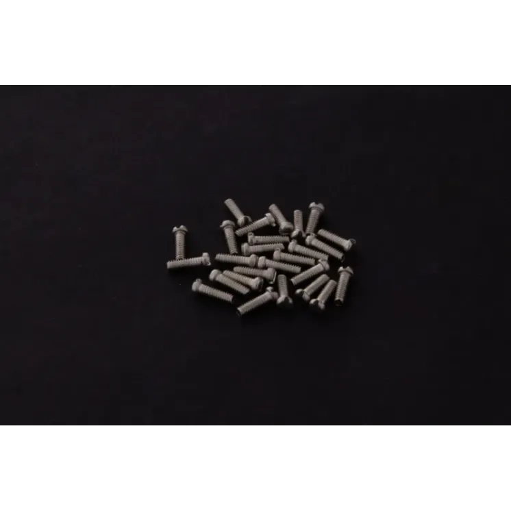 Glasses screw
