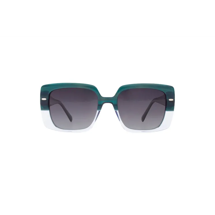 Ivision sunglasses