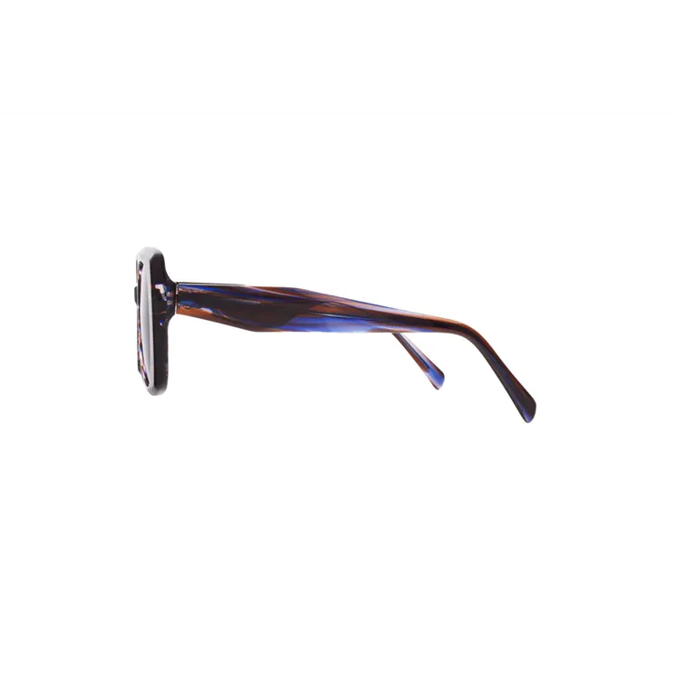 Ivision sunglasses