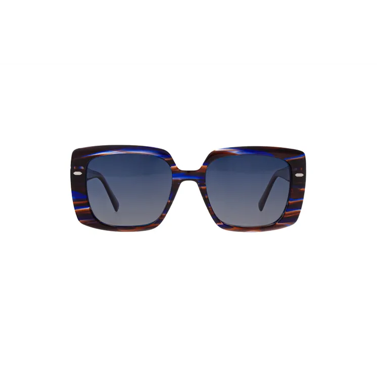 Ivision sunglasses