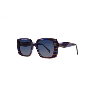 Ivision sunglasses