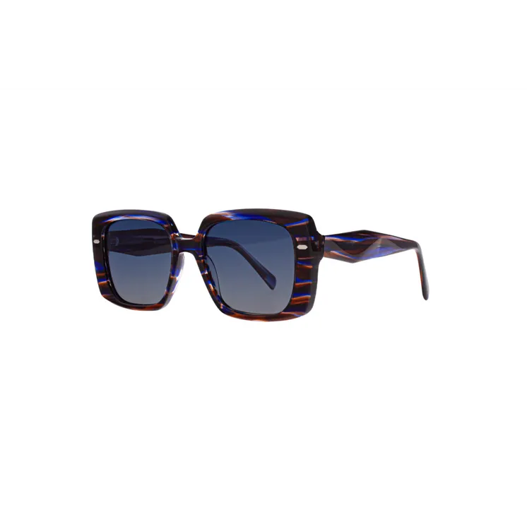 Ivision sunglasses
