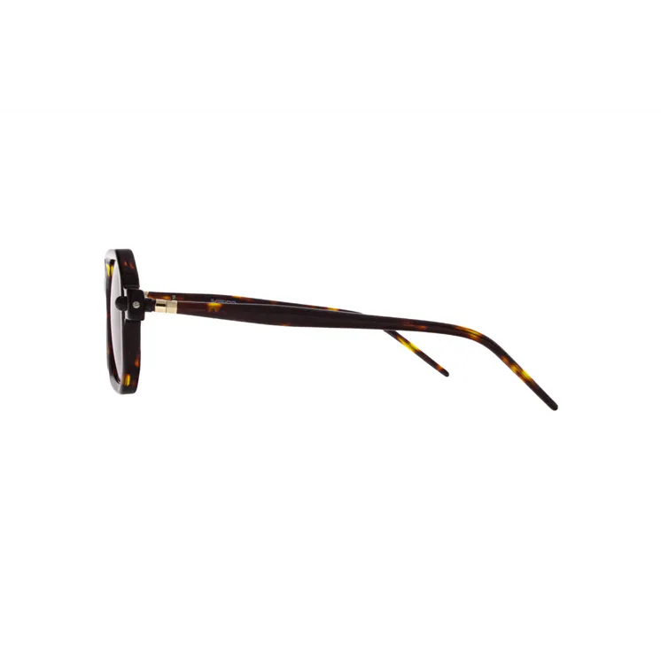 Ivision sunglasses