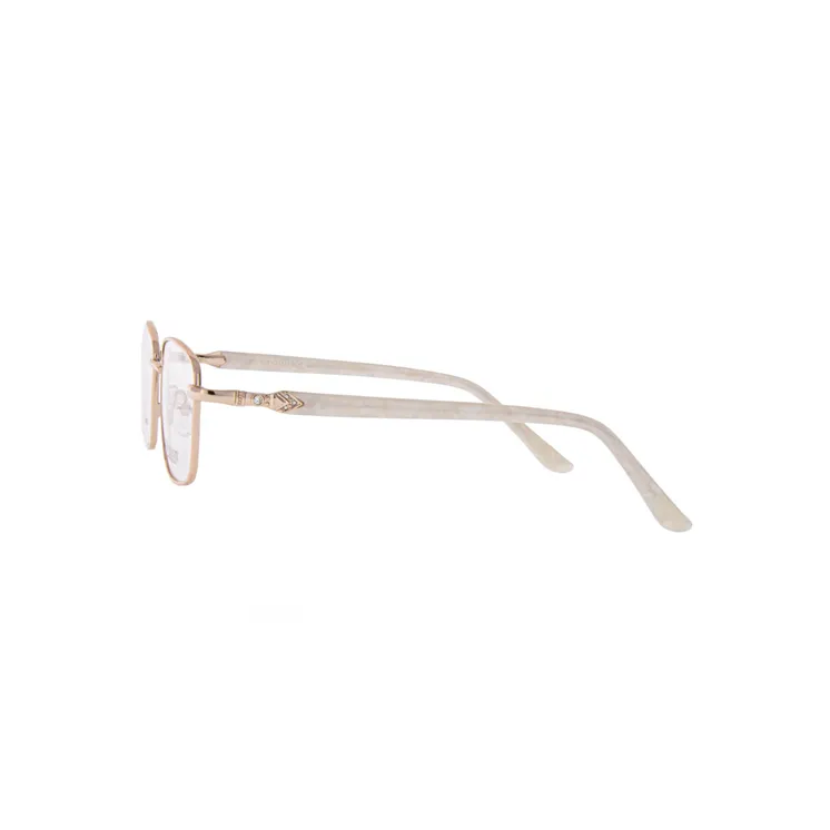 Ivision glasses