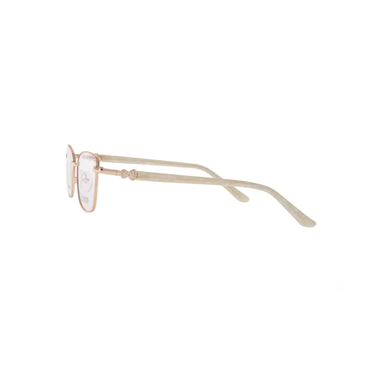Ivision glasses