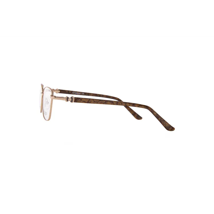 Ivision glasses
