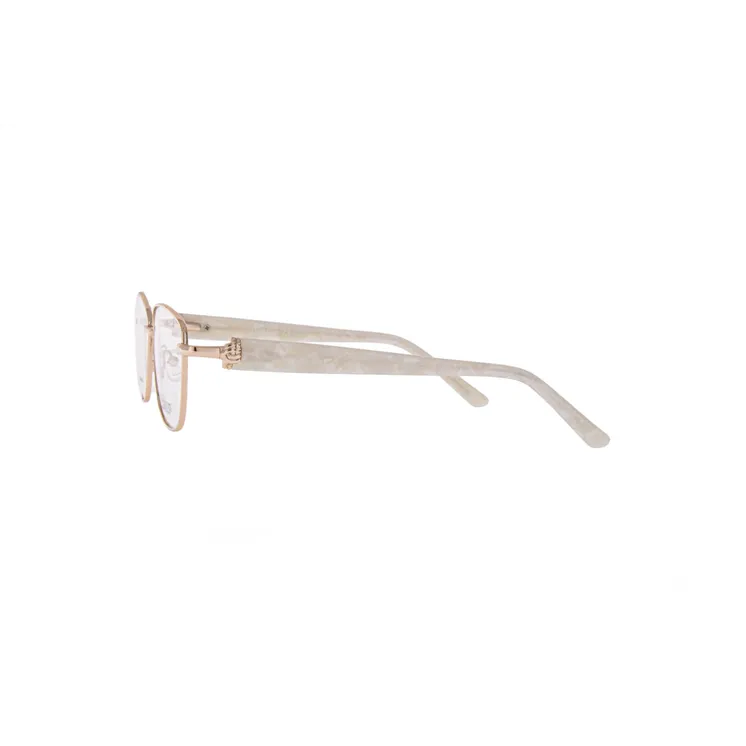 Ivision glasses