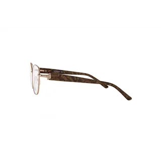 Ivision glasses