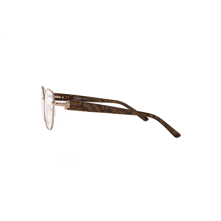 Ivision glasses