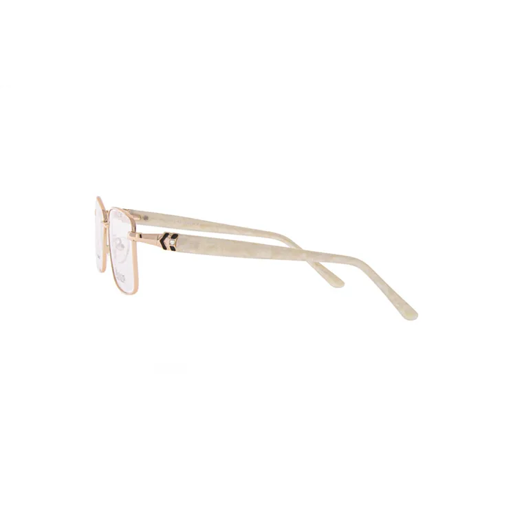 Ivision glasses