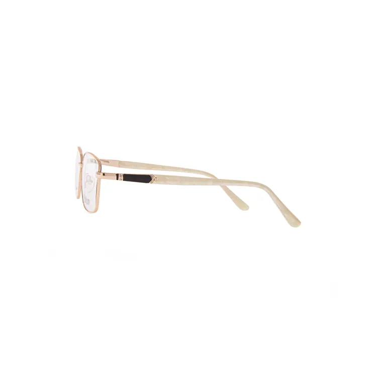 Ivision glasses