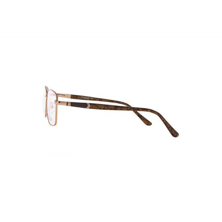 Ivision glasses