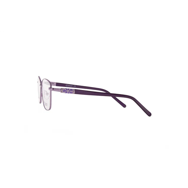 Ivision glasses