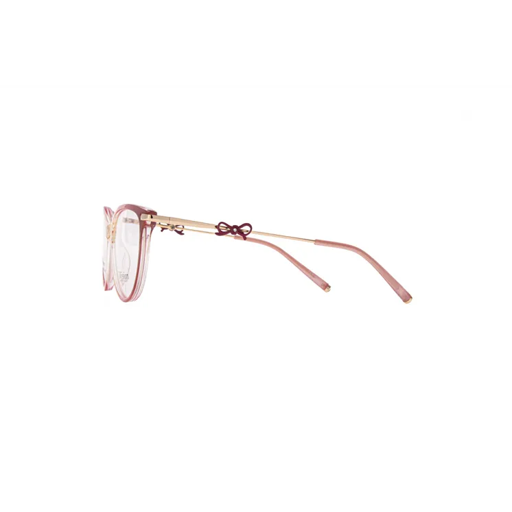 Ivision glasses