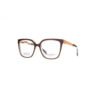 Ana Hickmann glasses