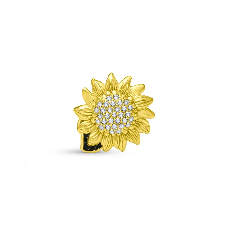 Classes Charm - TC0612 Stylish Eyewear Accessories