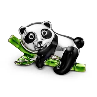 Cloozz szemüveg charm