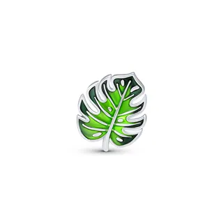 Cloozz szemüveg charm