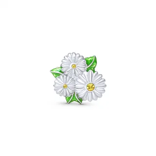 Cloozz szemüveg charm