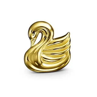 Cloozz szemüveg charm