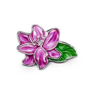 Cloozz szemüveg charm