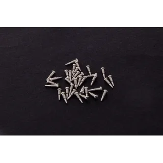 Glasses screw