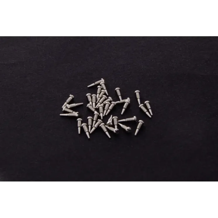 Glasses screw