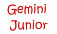 Gemini Junior